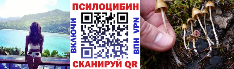 ссылка на мегу   Новомосковск  Псилоцибиновые грибы Cubensis 
